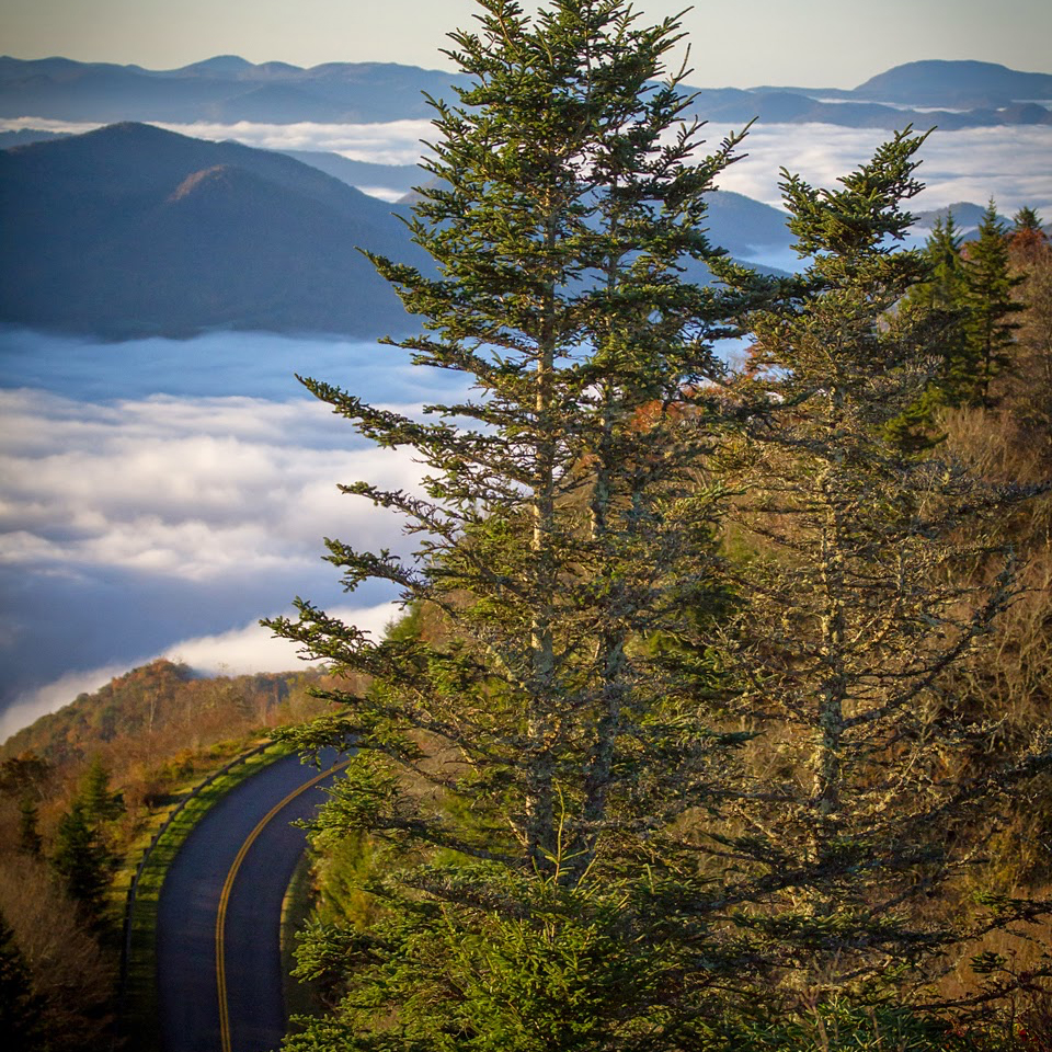 Smoky Mountain Fog