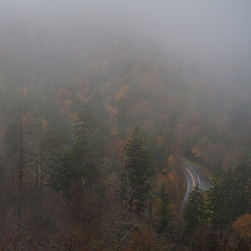 Smoky Mountain Fog