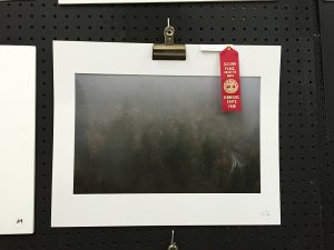 2nd place landscape-1