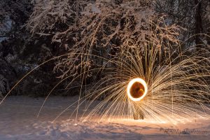 Steel Wool-1 copy