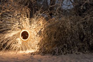 Steel Wool-2 copy